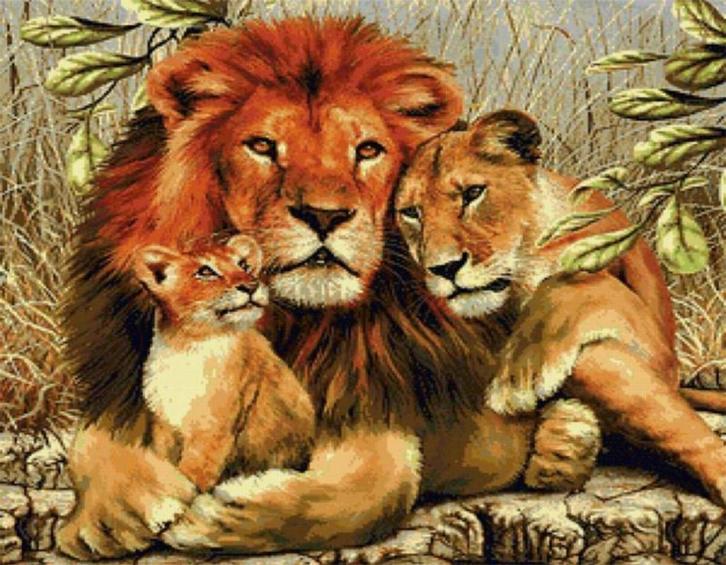 Diamond Painting set Leeuw met welpen 20x30cm, Hobby en Vrije tijd, Knutselen, Nieuw, Knutselwerk, Verzenden