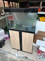 Groot aquarium met onderkast – goede staat, Animaux & Accessoires, Poissons | Aquariums & Accessoires, Enlèvement, Utilisé, Aquarium vide