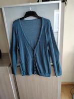 Cardigan maat L, Ophalen, Gedragen, Maat 42/44 (L), Blauw