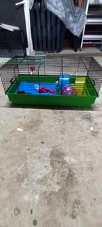 Cavia kooi, Dieren en Toebehoren, Ophalen, Kooi, Cavia