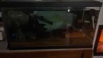 Aquarium 32,5 cm hoog x 30 cm diep x 59,5 cm lengte