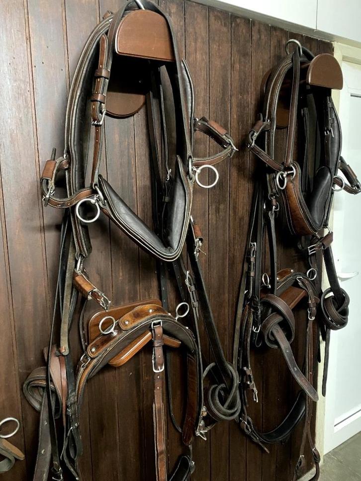 tweespan tuig Freedman bruin, Dieren en Toebehoren, Paarden en Pony's | Hoofdstellen en Tuigage, Gebruikt, Overige soorten, Ophalen