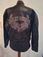 veste en cuir de Harley Davidson, taille M, Vêtements | Hommes, Vestes | Hiver, Porté, Enlèvement