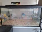 Visbak 60 liter met licht steentjes en toebehoren te koop, Dieren en Toebehoren, Ophalen, Gebruikt, Leeg aquarium