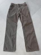 Rib fluwelen herenbroek maat 33, Vêtements | Hommes, Pantalons, Enlèvement ou Envoi, Brun, Taille 48/50 (M), Comme neuf