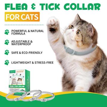 Set van 4 natuurlijke vlooienbanden voor katten beschikbaar voor biedingen