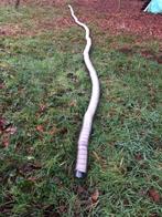 flexibel inox, Ophalen, Inox, Gebruikt, 6 meter of meer