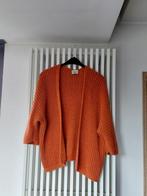 Gilet L/XL, Kleding | Dames, Truien en Vesten, Maat 42/44 (L), Nieuw, Ophalen of Verzenden, Bruin