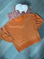 Oranje trui, Kleding | Dames, Truien en Vesten, Ophalen of Verzenden, Zo goed als nieuw, Maat 42/44 (L), Oranje