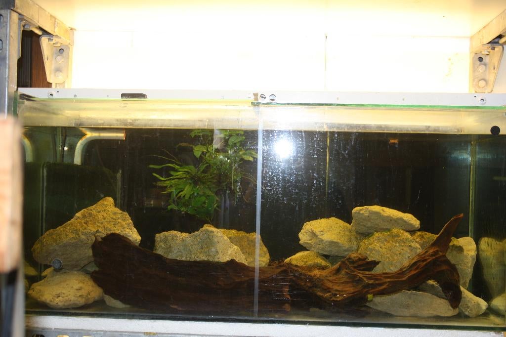 aquariums, Ophalen, Gebruikt, Leeg aquarium