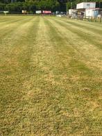 Regarnissage terrain de sport ( sursemis ), Herbe