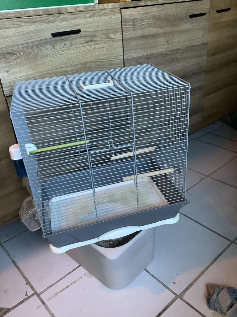 Vogelkooi met eet en drinkbakjes, Ophalen, Zo goed als nieuw, Vogelkooi