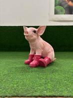 Varken zittend met fuchsia laarzen polkadot, Tuin en Terras, Ophalen of Verzenden, Nieuw, Kunststof, Dierenbeeld