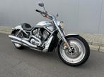 V-stang, Motoren, Motoren | Harley-Davidson, 2 cilinders, Chopper, Bedrijf, Meer dan 35 kW