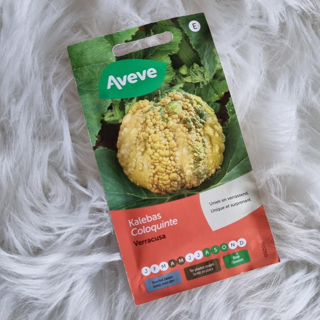 Calebasse : unique et surprenante !, Jardin & Terrasse, Bulbes & Semences, Enlèvement ou Envoi