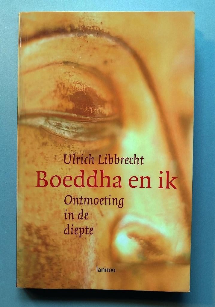 Boeddha En Ik Ontmoeting In De Diepte, Livres, Philosophie, Enlèvement ou Envoi