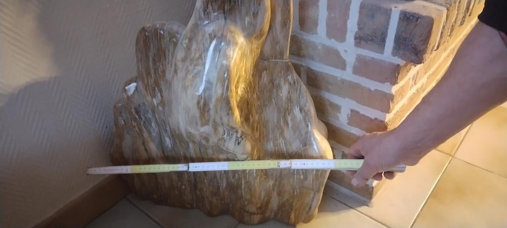 Versteend hout, Dieren en Toebehoren, Vogels | Kanaries