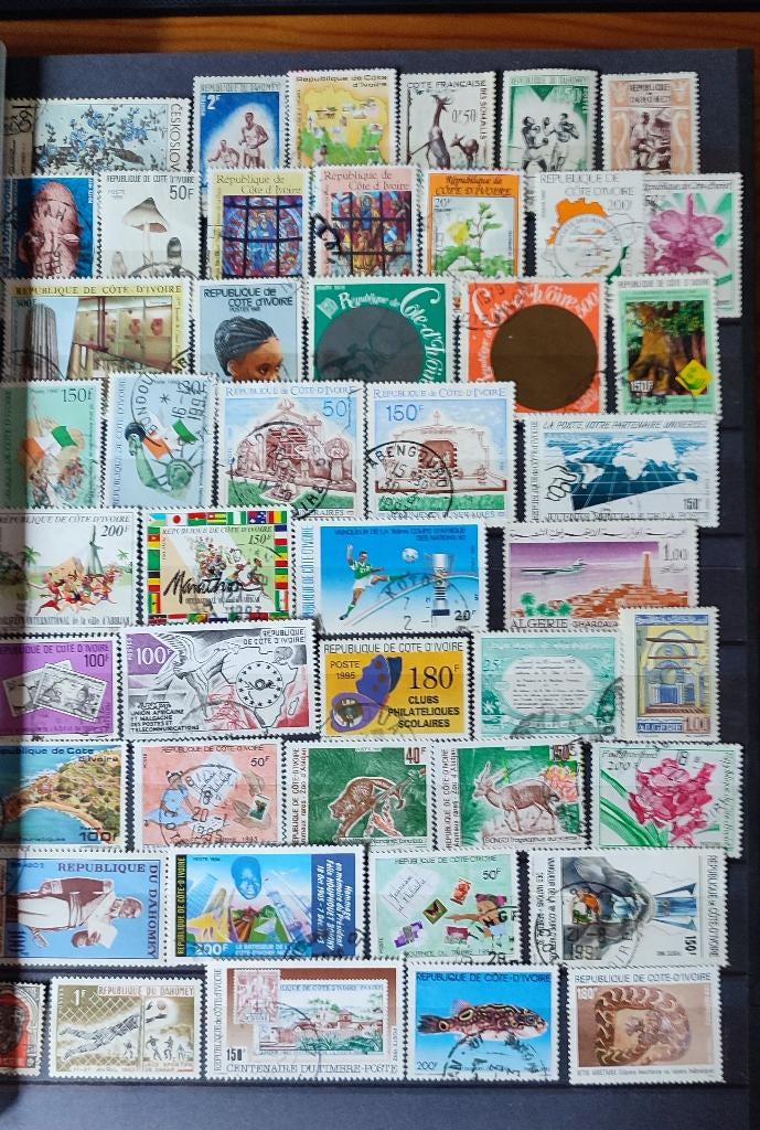 Album de timbres A4 (44), Timbres & Monnaies, Timbres | Albums complets & Collections, Enlèvement ou Envoi