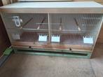 cage d élevage en bois de 82 cm état neuf, Animaux & Accessoires, Oiseaux | Cages & Volières, Enlèvement, Comme neuf, Bois, Cage d'élevage