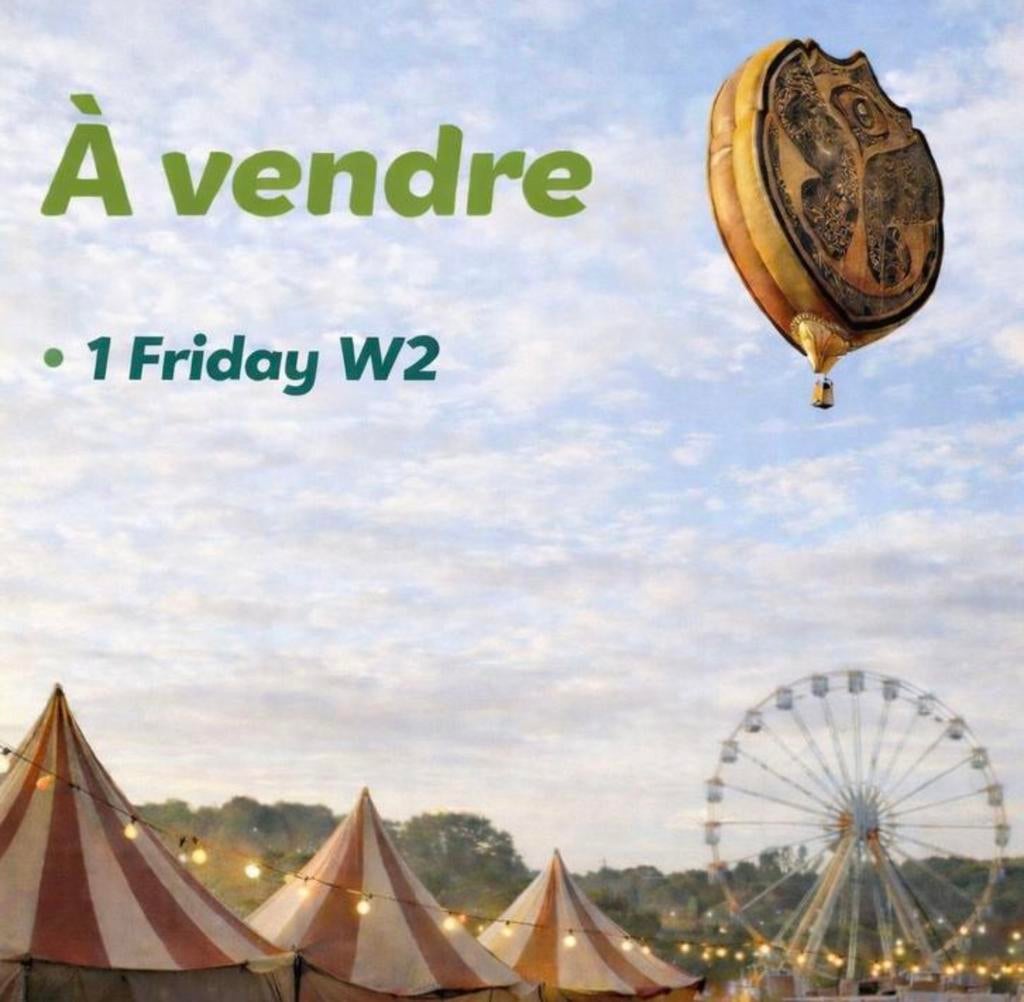 Tommorowland ticket, Tickets & Billets, Une personne, Ticket ou Carte d'accès