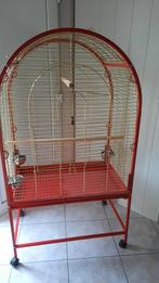 Cage pour grande perruche ou perroquet, Enlèvement, Neuf, Métal, Cage à oiseaux