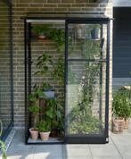 Serre murale NEW Qube LT 24, noire, VG 3 mm + PC 6 mm, Envoi, Neuf