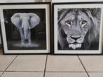 vierkanten kader olifant en leeuw, Huis en Inrichting, Foto of Poster, Gebruikt, 50 tot 75 cm, 50 tot 75 cm