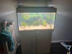 Aquarium jewel rio 125, Dieren en Toebehoren, Ophalen, Zo goed als nieuw