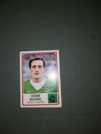 Panini football 86 Zoran Bojovic Cercle Brugge, Ophalen of Verzenden, Nieuw, Poster, Plaatje of Sticker