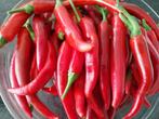 Biologische Italiaanse chilipepers, Ophalen of Verzenden
