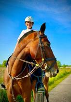 Leuke D-Pony, Dieren en Toebehoren, Merrie, D pony (1.37m tot 1.48m), Gechipt, 7 tot 10 jaar