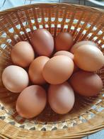 Broedeieren eieren 0.60 euro stuk, Ophalen of Verzenden