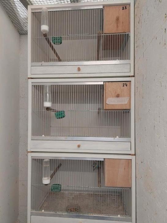 Kweekkooi met kweekblok 3 beschikbaar, Dieren en Toebehoren, Vogels | Hokken en Kooien, Zo goed als nieuw, Ophalen