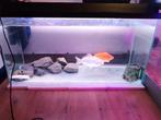 aquarium 200l met verlichting, Ophalen, Gebruikt, Leeg aquarium