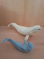 Beluga family - Monterey Bay Aquarium - 90's, Ophalen of Verzenden, Gebruikt
