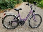 Kinderfiets 22 inch 6-9 jaar, Fietsen en Brommers, Fietsen | Kinderfietsjes, Ophalen, Gebruikt, 20 inch of meer, Golden Lion