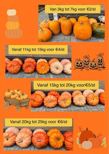 Diverse pompoenen - eetbaar beschikbaar voor biedingen