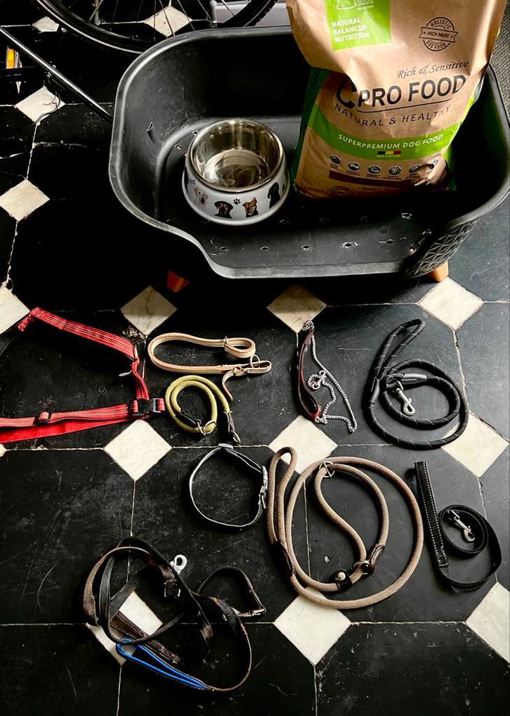 Lot grand panier chien, laisses diverses, furminator, col.., Animaux & Accessoires, Nourriture pour Animaux, Chien, Enlèvement
