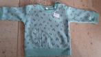 Truitje maat 62, Kinderen en Baby's, Babykleding | Maat 62, Ophalen, Zeeman, Gebruikt, Truitje of Vestje