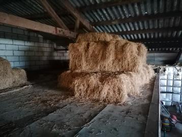 Hooi beschikbaar voor biedingen