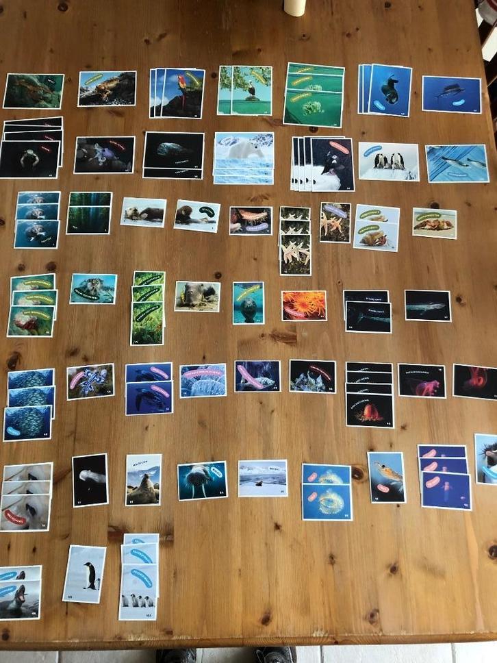 AH expeditie oceaan stickers te koop Albert Heijn sticker, Verzamelen, Supermarktacties, Albert Heijn, Ophalen of Verzenden