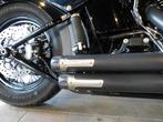 Harley-Davidson SOFTAIL FLSS SLIM S (bj 2016), Motoren, Bedrijf, 1802 cc, Cruise Control, Meer dan 35 kW
