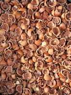 Bois de chauffage coquilles de noix et noisettes allume feu, Jardin & Terrasse, Enlèvement