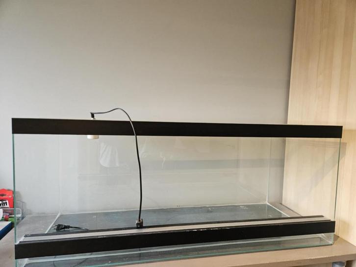 Terrarium 45x45x120, Dieren en Toebehoren, Reptielen en Amfibieën | Toebehoren, Gebruikt, Terrarium of Paludarium, Ophalen