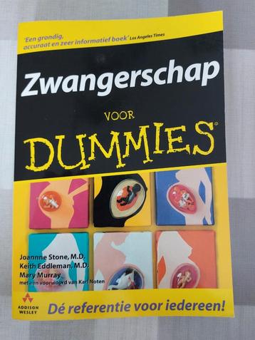 J. Stone - Zwangerschap voor Dummies beschikbaar voor biedingen