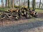 Brandhout (boomstammen)., Tuin en Terras, Brandhout, Stammen, Ophalen of Verzenden, 6 m³ of meer
