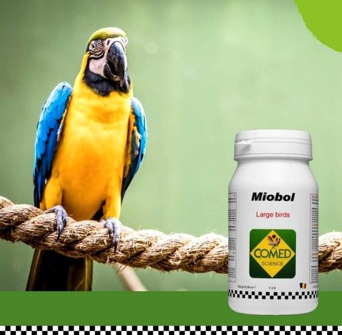 Miobol Bird 300 grammes - Comed - Birdshopchristina Pet Shop, Animaux & Accessoires, Nourriture pour Animaux, Oiseau, Enlèvement ou Envoi