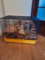 Kooi klein huisdier, Boeken, Dieren en Huisdieren, Ophalen, Zo goed als nieuw, Konijnen of Knaagdieren