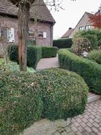 Studio gemeubeld te huur