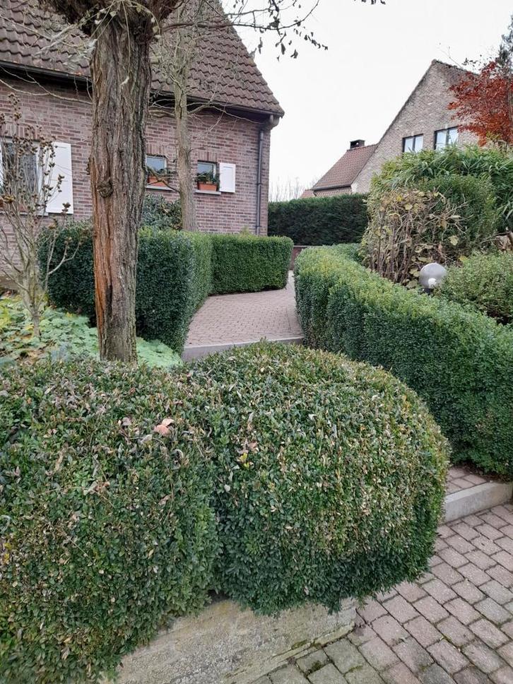 Studio gemeubeld te huur, Immo, Appartementen en Studio's te huur